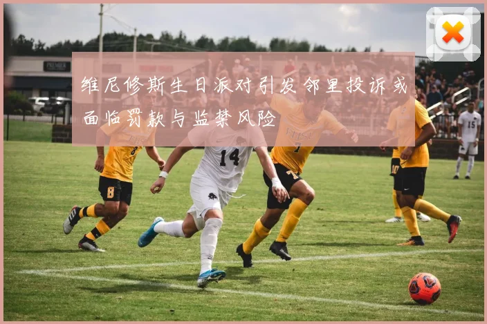 维尼修斯生日派对引发邻里投诉或面临罚款与监禁风险