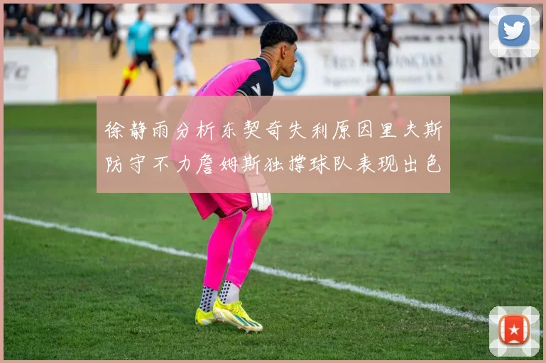 徐静雨分析东契奇失利原因里夫斯防守不力詹姆斯独撑球队表现出色