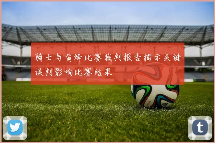 骑士与黄蜂比赛裁判报告揭示关键误判影响比赛结果